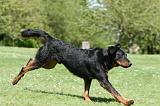 BEAUCERON 829